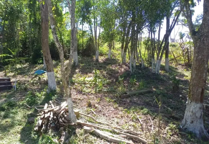 Vendo terreno 12x70