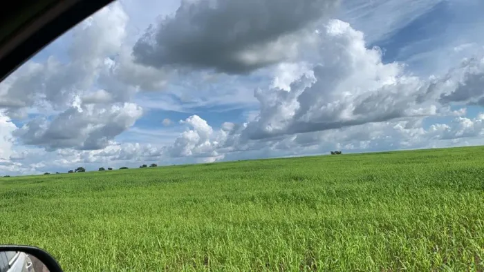 Fazenda para Venda em Piraquê