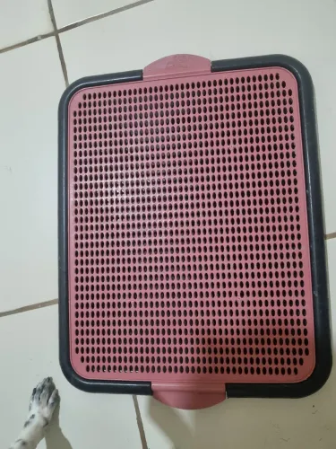 Sanitário canino plástico para cães