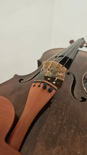 Violino francês 1850