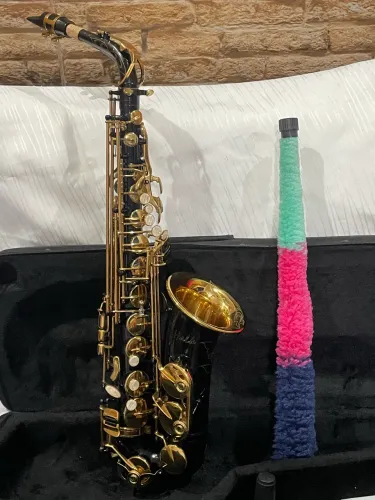 Saxofone alto halk preto com chaves douradas