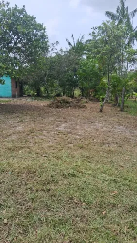 Terreno 10m de frete X 55m de fundo em Colares-PA