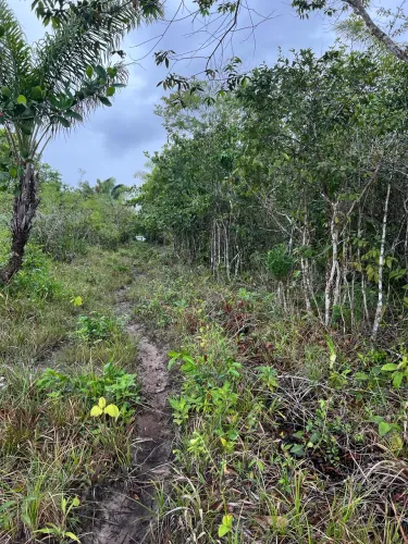 Vendo terreno em Bacabeira - MA