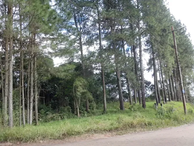 Refúgio Natural, Sítio Taquaral em Santo André | 2.500 m² para Chácara | Próximo à Índio T
