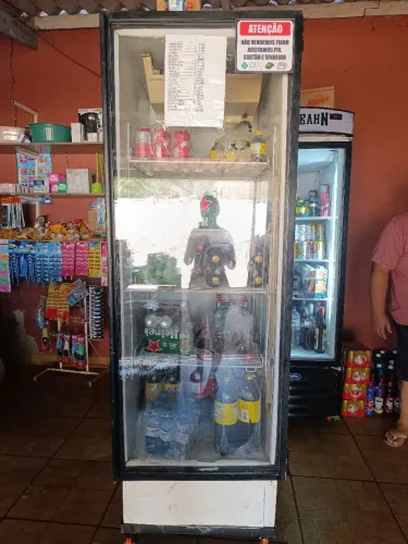 Freezer expositor