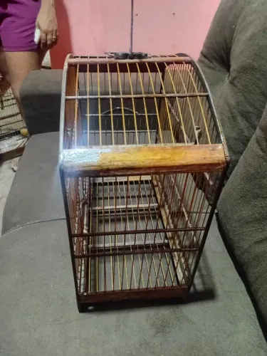 Vende-se gaiolas vários tamanhos 