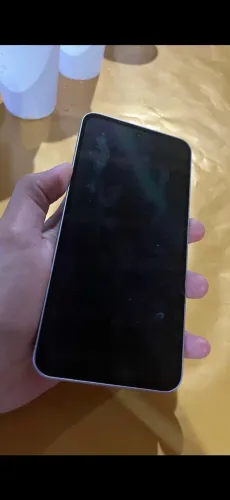 A55 novo
