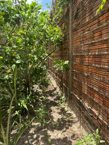Vendo esse pequeno sítio lindo
