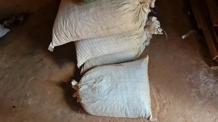 Adubo de palmeira