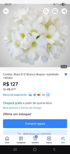 Combo: Rosa d d branca buque +subst +adubo *envio