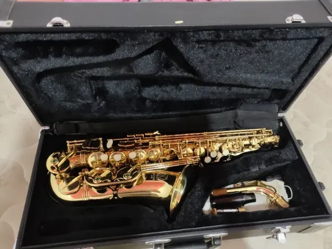 SAXOFONE EAGLE + CASE ORIGINAL + BAG ACOCHOADA