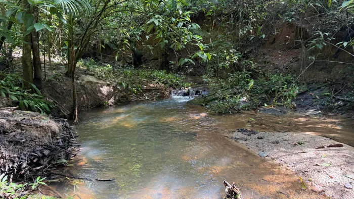 Chacara de 5.100mt com córrego no fundo e muita natureza!
