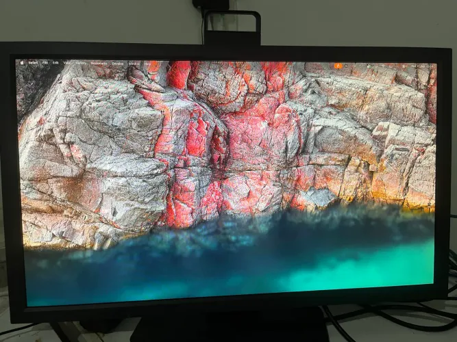 Monitor zowie xl2411k (leia a descrição)