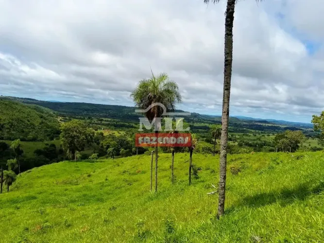 Fazenda 10 Alqueires (48 ,4 hectares) Jaraguá - GO