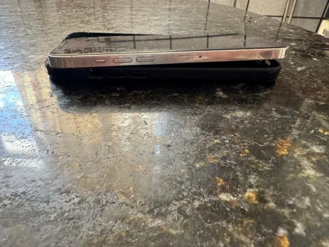 Celular IPhone 12 Pro Max