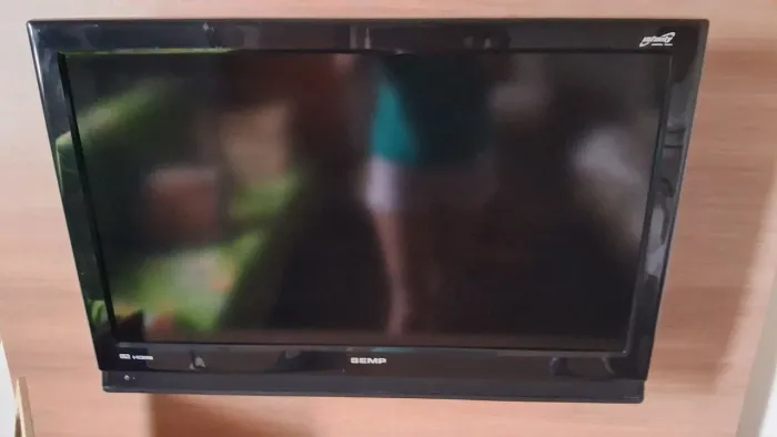 Televisão