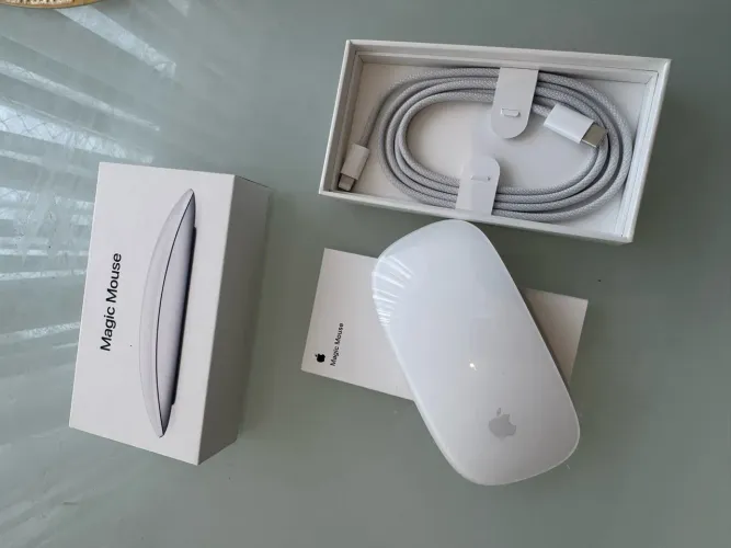Magic Mouse Apple