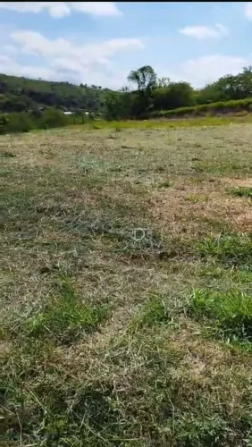 Chácara à venda, 5000 m² por R$ 430.000,00 - Zona Rural - Ibiporã/PR