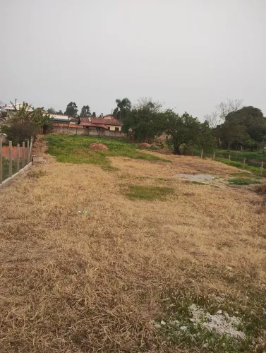 Terreno 25x80