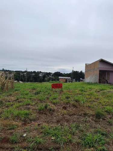 Lote em Corbélia 