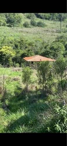 Um lugar para contemplar a natureza 