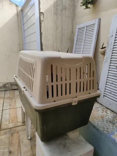 Caixa de Transporte para Pet - Premium, Resistência e conforto