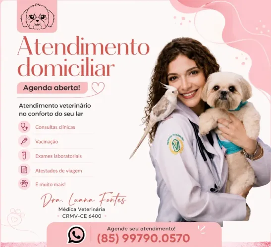 Atendimento Domiciliar
