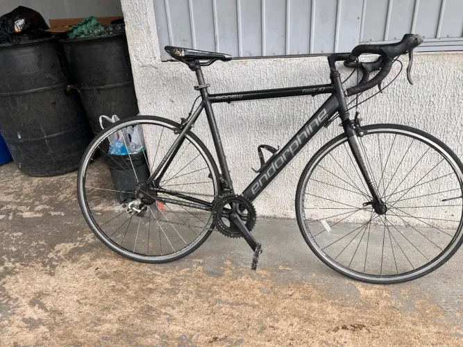 Speed Endorphine Gonew Fast 10