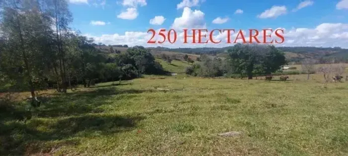 Terreno em Itapecerica MG - Terreno com 250 hectares - 4 km do asfalto. Ótima topografia