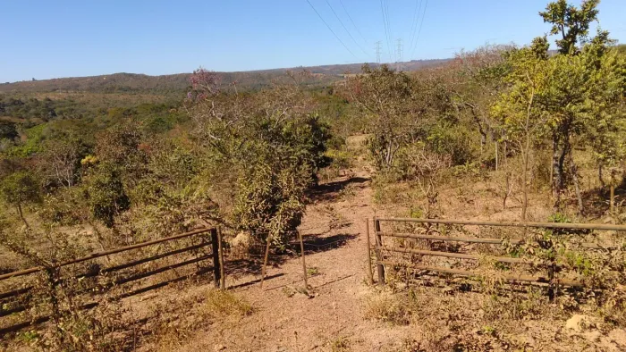 Chácara plana com 3 Hectares no Altiplano Leste com mata preservada