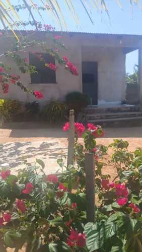 Vendo essa terreno com casa 