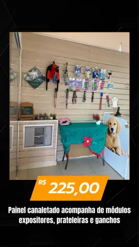 Gôndolas + balcão + painel canaletado para Pet Shop 