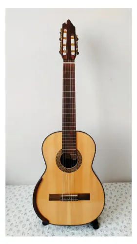 Violão 7 Cordas Luthier Edu Silva 