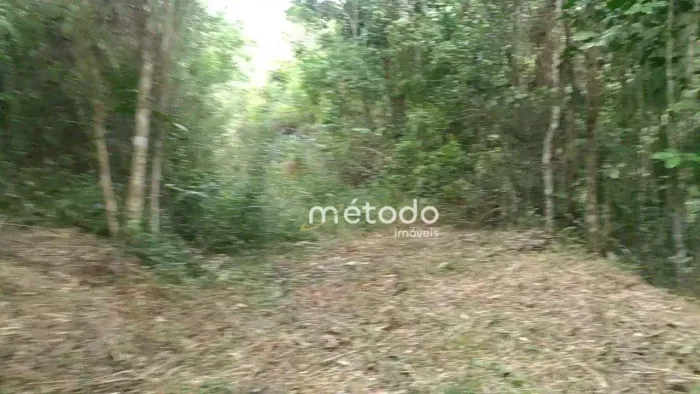Sítio à venda, 20000 m² por R$ 350.000 - Bairro Freguesia da Escada - Guararema/SP