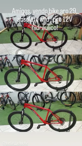 Bicicleta aro 29 Absolute wild pro 12V hidráulico c/trava