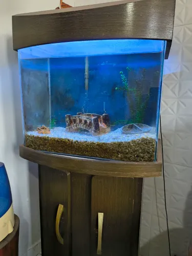 Aquário 100L + Móvel Luxo + Equipamentos e Enfeites