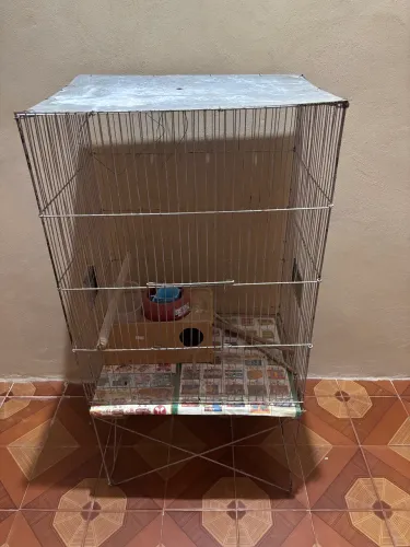 Vendo 200 reais