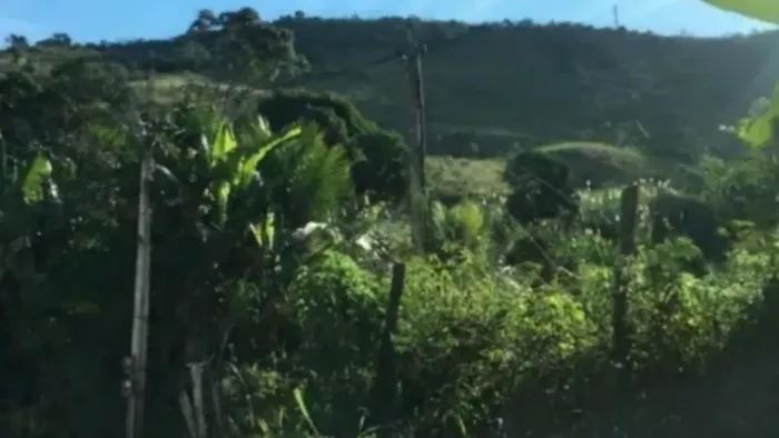 Leilão - Rural - De R$60.100.000,00 Por R$30.050.000,00