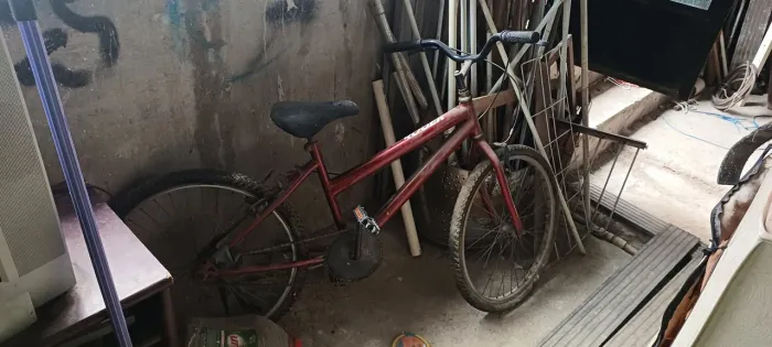 Bicicleta