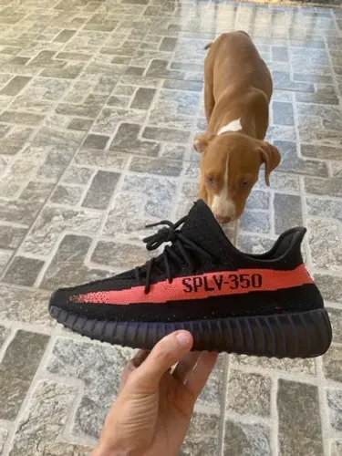 Adidas Yeezy Boost 350. Tam 40. Novo!!