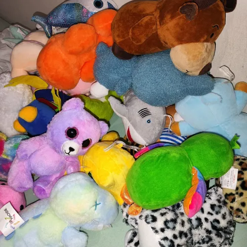 Urso de pelúcia