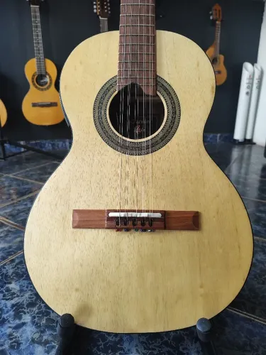 Viola Giannini elétrica com capa acolchoada 