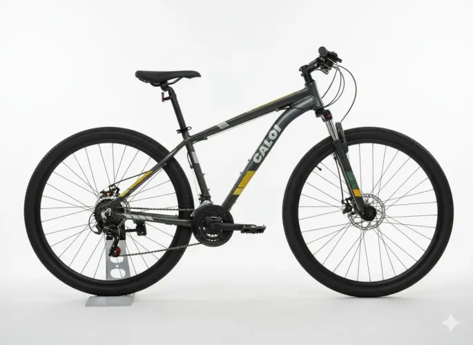 Two Niner Pro aro 29 caloi