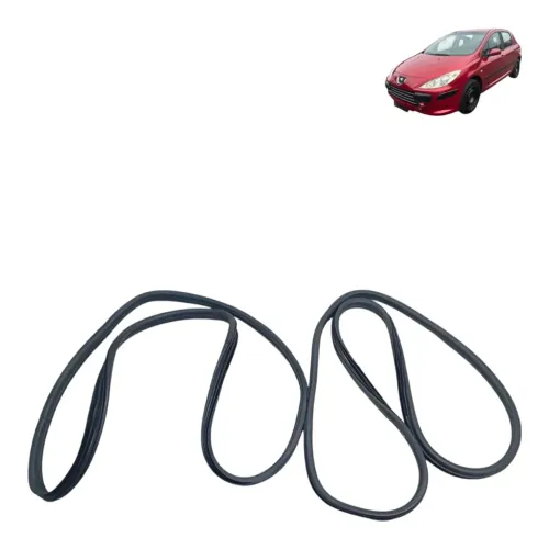 Par Borrachas Traseira Peugeot 307 2010 S 35145