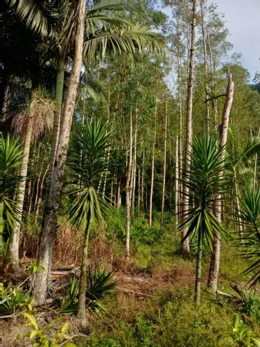 Sitio com 20,000,00m2