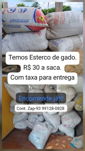 Esterco de Gado