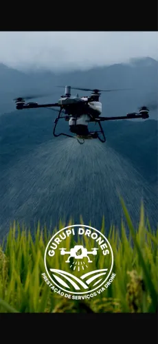 Pulverização via Drone Agrícola (pastagem/soja/graos)