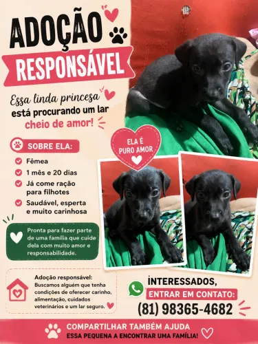 Adoção responsável