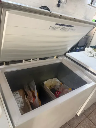 Freezer Electrolux 1 porta h300
