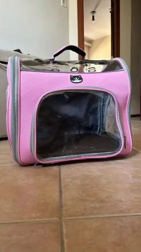 mochila para pet